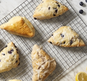 sconesfamilyshot